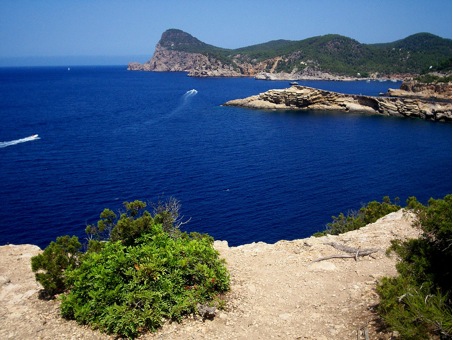ibiza ibiza