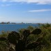 lamanga2