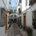 calle-1