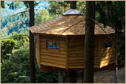 mundo turistico | Dormir en una cabaña de un árbol, en Gerona