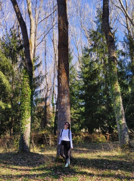 bosque-finlandes-rascafria