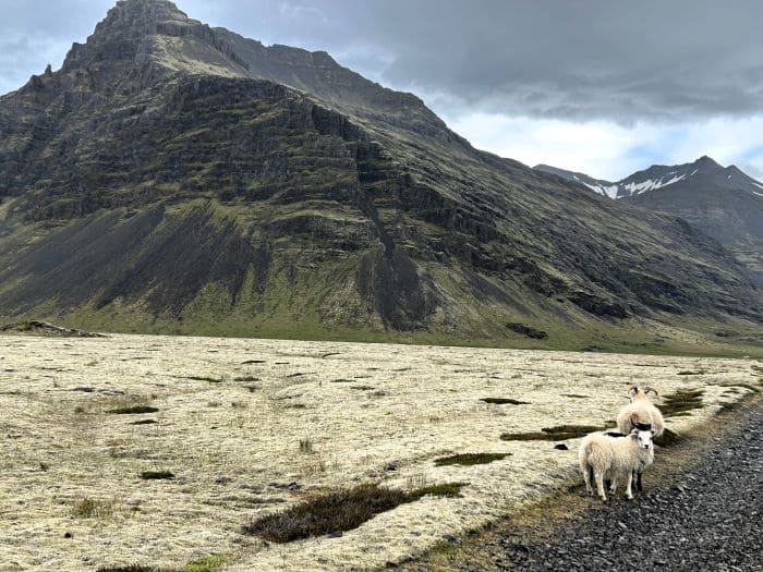 paisaje islandia