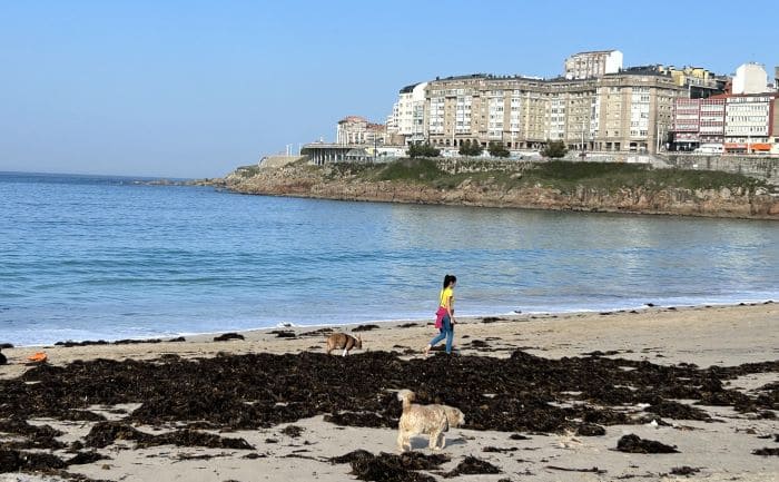 a coruña - playa y ciudad